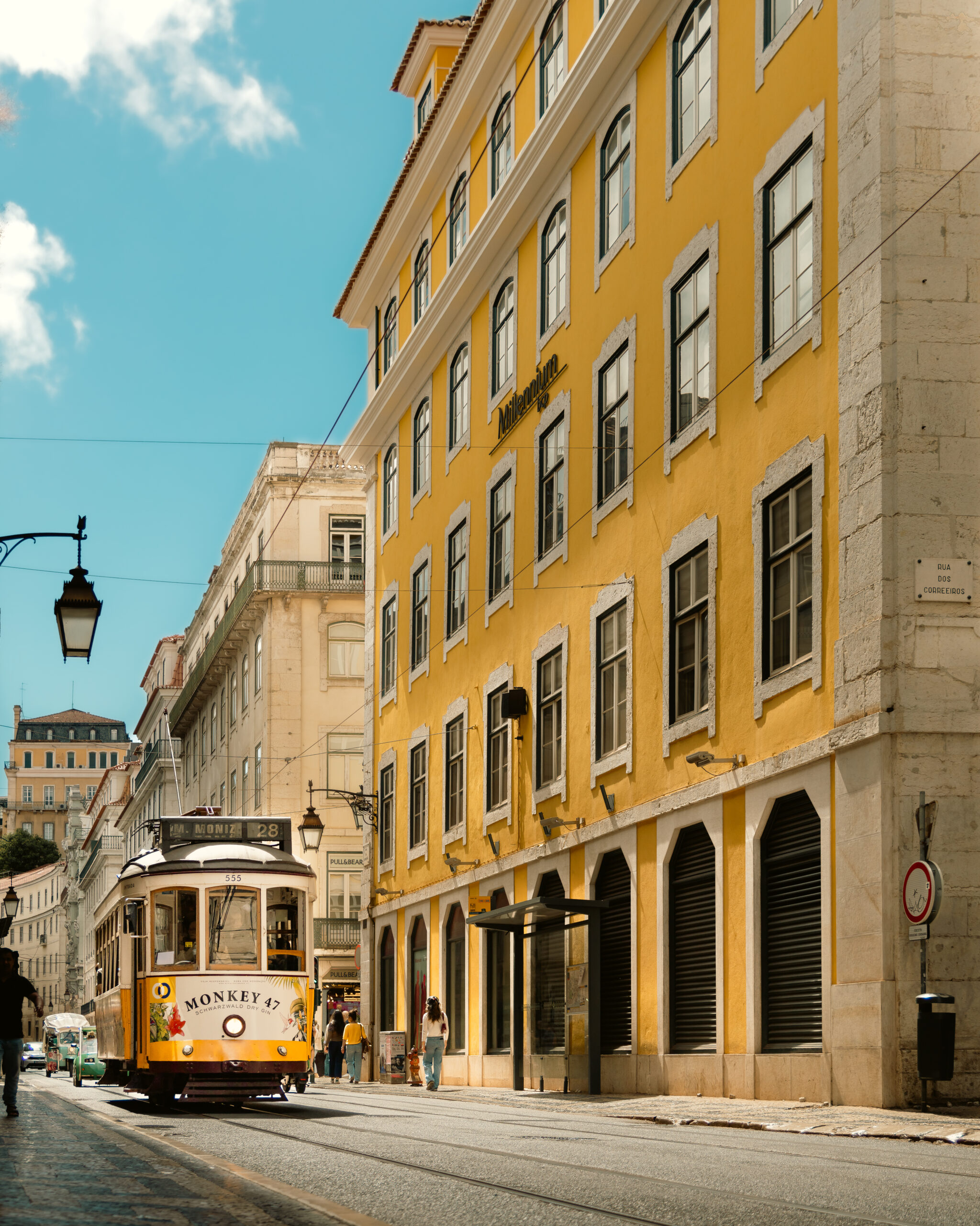 img 4017 enhanced sr